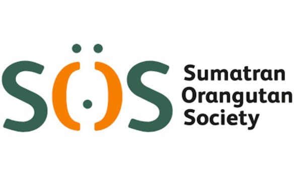 Charity Spotlight - Sumatran Orangutan Society