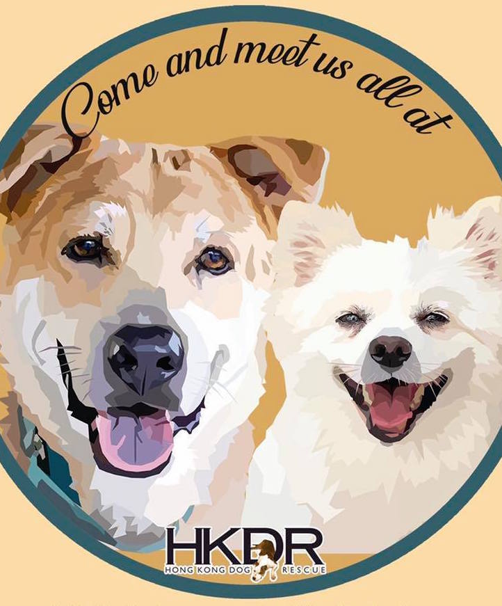 Charity Spotlight - Hong Kong Dog Rescue