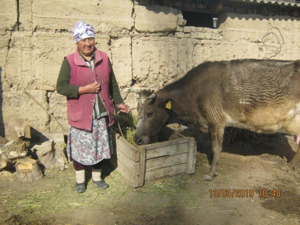 Charity Spotlight - Aitbubu & Her Agriculture Business